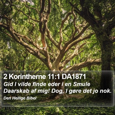 2 Korintherne 11:1 DA1871 Bible Verse Image