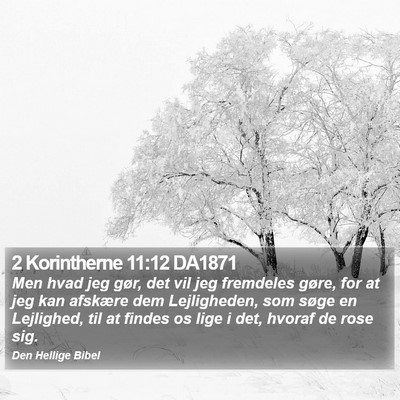 2 Korintherne 11:12 DA1871 Bible Verse Image