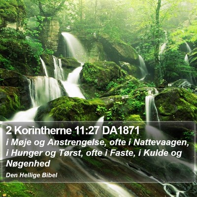 2 Korintherne 11:27 DA1871 Bible Verse Image