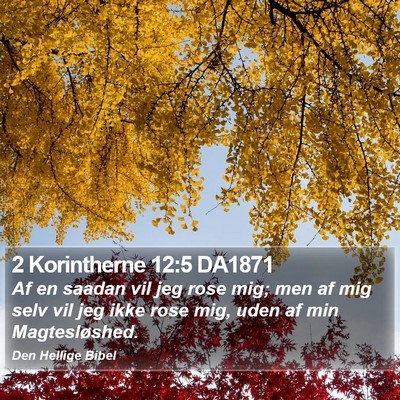2 Korintherne 12:5 DA1871 Bible Verse Image