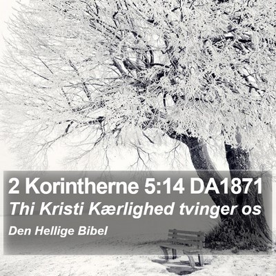 2 Korintherne 5:14 DA1871 Bible Verse Image