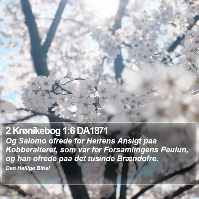 2 Krønikebog 1:6 DA1871 Bible Verse Image