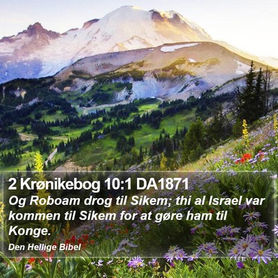 2 Krønikebog 10:1 DA1871 Bible Verse Image