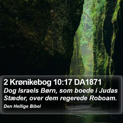 2 Krønikebog 10:17 DA1871 Bible Verse Image