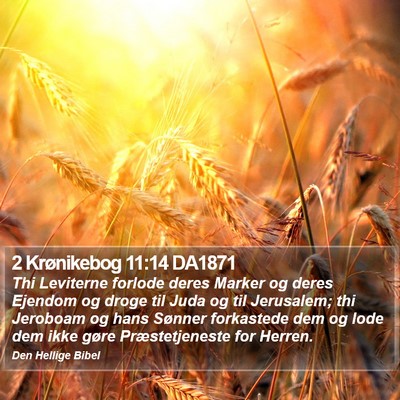 2 Krønikebog 11:14 DA1871 Bible Verse Image