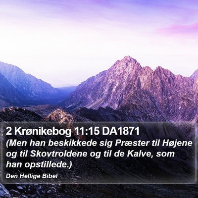 2 Krønikebog 11:15 DA1871 Bible Verse Image