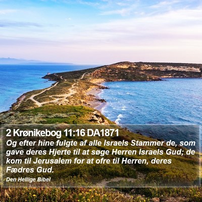 2 Krønikebog 11:16 DA1871 Bible Verse Image
