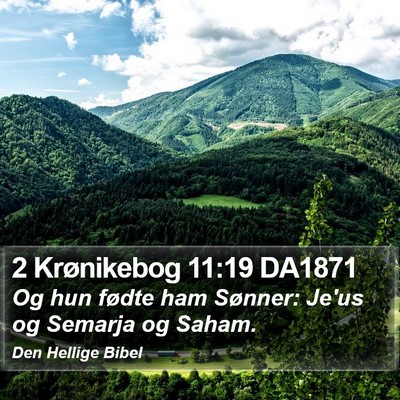 2 Krønikebog 11:19 DA1871 Bible Verse Image