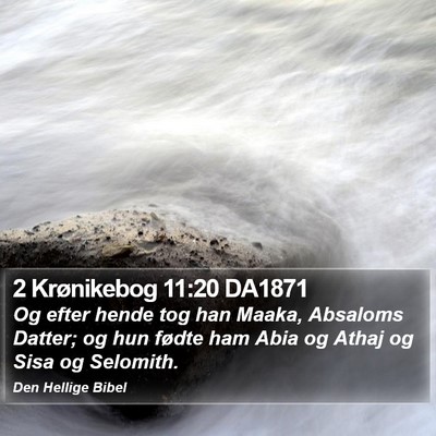 2 Krønikebog 11:20 DA1871 Bible Verse Image
