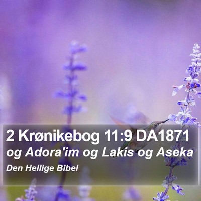 2 Krønikebog 11:9 DA1871 Bible Verse Image