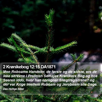 2 Krønikebog 12:15 DA1871 Bible Verse Image