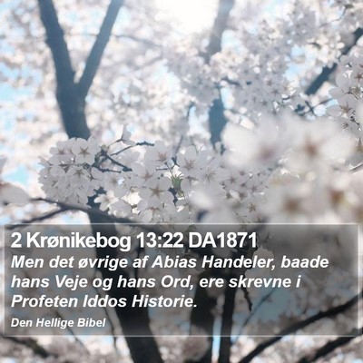 2 Krønikebog 13:22 DA1871 Bible Verse Image