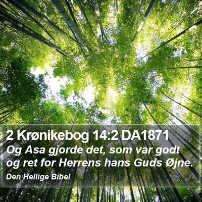 2 Krønikebog 14:2 DA1871 Bible Verse Image