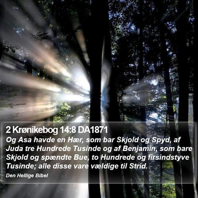 2 Krønikebog 14:8 DA1871 Bible Verse Image