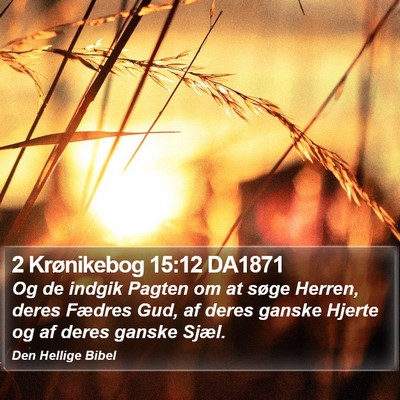 2 Krønikebog 15:12 DA1871 Bible Verse Image