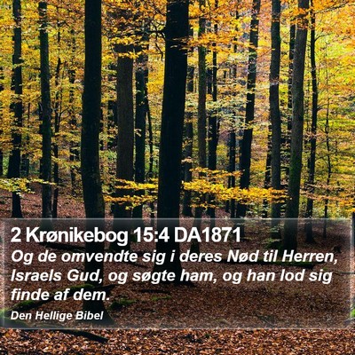 2 Krønikebog 15:4 DA1871 Bible Verse Image