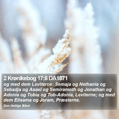 2 Krønikebog 17:8 DA1871 Bible Verse Image