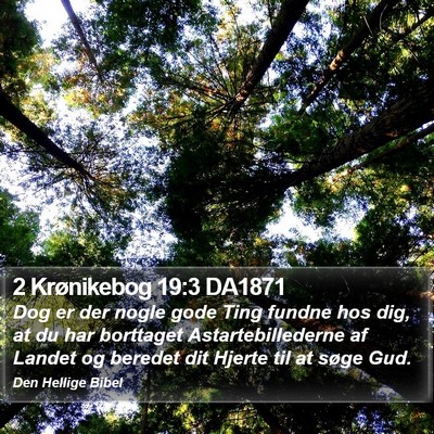 2 Krønikebog 19:3 DA1871 Bible Verse Image
