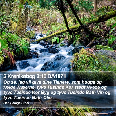 2 Krønikebog 2:10 DA1871 Bible Verse Image