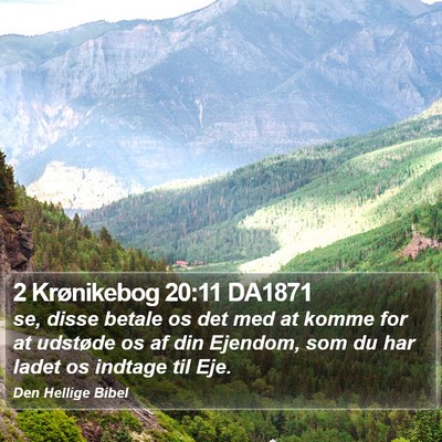 2 Krønikebog 20:11 DA1871 Bible Verse Image