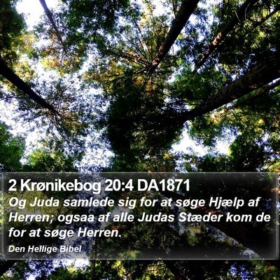 2 Krønikebog 20:4 DA1871 Bible Verse Image