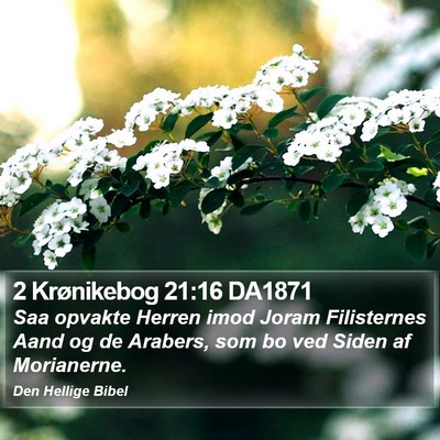 2 Krønikebog 21:16 DA1871 Bible Verse Image