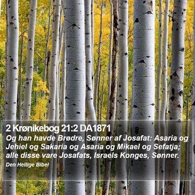 2 Krønikebog 21:2 DA1871 Bible Verse Image