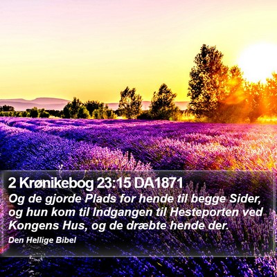 2 Krønikebog 23:15 DA1871 Bible Verse Image