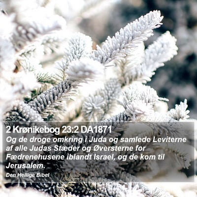 2 Krønikebog 23:2 DA1871 Bible Verse Image