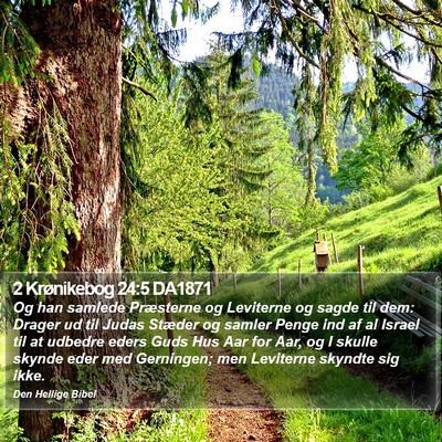 2 Krønikebog 24:5 DA1871 Bible Verse Image