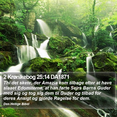 2 Krønikebog 25:14 DA1871 Bible Verse Image