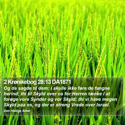 2 Krønikebog 28:13 DA1871 Bible Verse Image