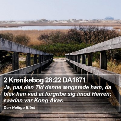 2 Krønikebog 28:22 DA1871 Bible Verse Image