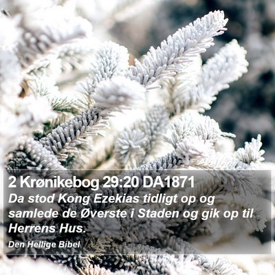 2 Krønikebog 29:20 DA1871 Bible Verse Image