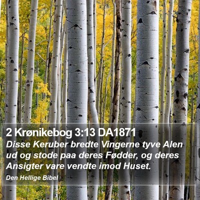 2 Krønikebog 3:13 DA1871 Bible Verse Image