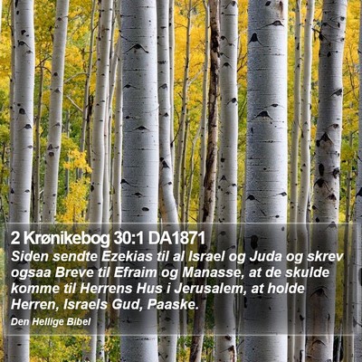 2 Krønikebog 30:1 DA1871 Bible Verse Image