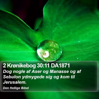 2 Krønikebog 30:11 DA1871 Bible Verse Image