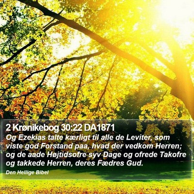 2 Krønikebog 30:22 DA1871 Bible Verse Image