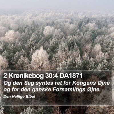 2 Krønikebog 30:4 DA1871 Bible Verse Image