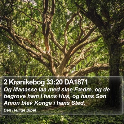 2 Krønikebog 33:20 DA1871 Bible Verse Image