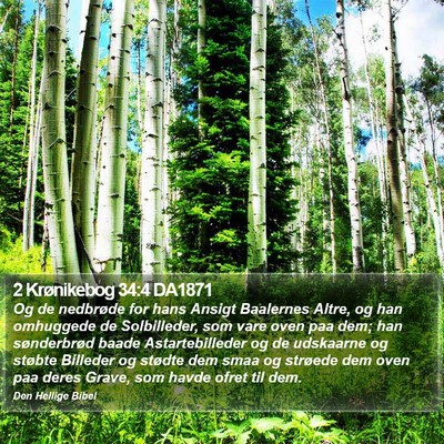 2 Krønikebog 34:4 DA1871 Bible Verse Image