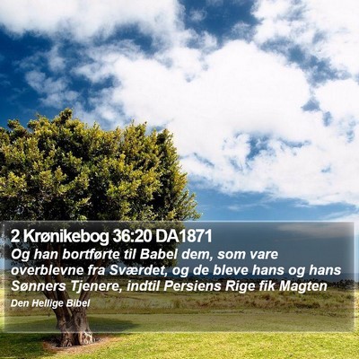 2 Krønikebog 36:20 DA1871 Bible Verse Image