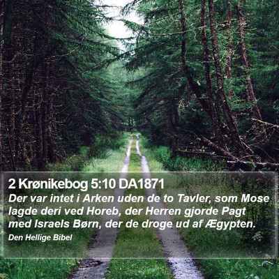 2 Krønikebog 5:10 DA1871 Bible Verse Image