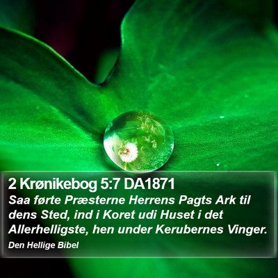 2 Krønikebog 5:7 DA1871 Bible Verse Image
