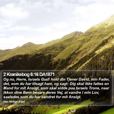 2 Krønikebog 6:16 DA1871 Bible Verse Image