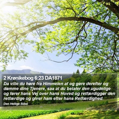 2 Krønikebog 6:23 DA1871 Bible Verse Image