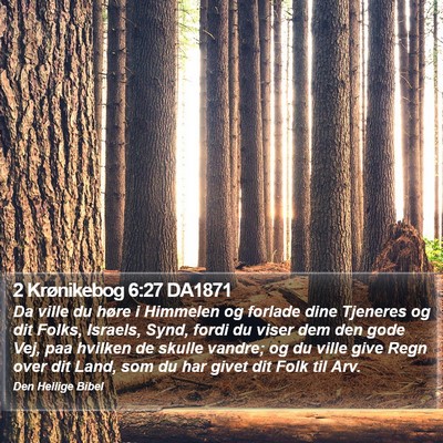 2 Krønikebog 6:27 DA1871 Bible Verse Image