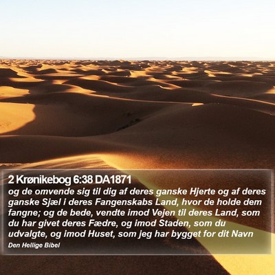 2 Krønikebog 6:38 DA1871 Bible Verse Image