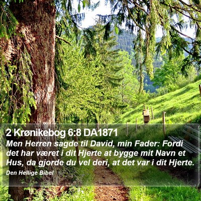 2 Krønikebog 6:8 DA1871 Bible Verse Image