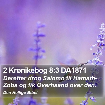 2 Krønikebog 8:3 DA1871 Bible Verse Image